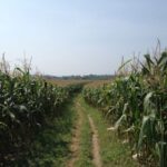 Baja NPK & Baja Foliar