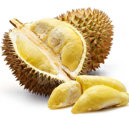 Baja Durian