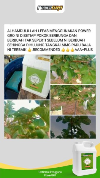 buah2 (1)