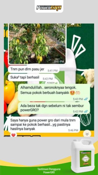 buah2