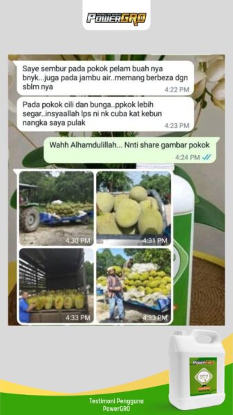 buah2