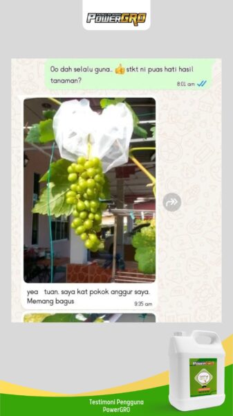 buah2