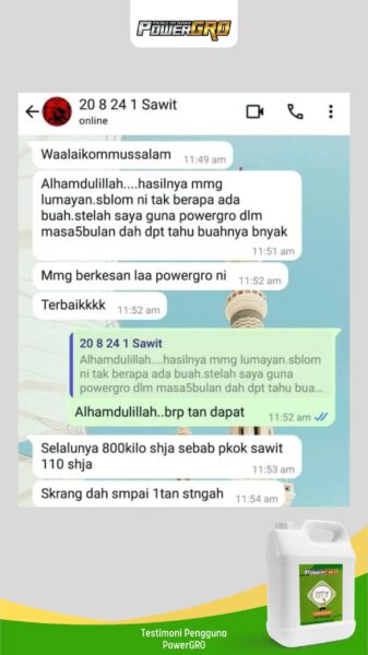 sawit