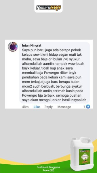 sawit(2)